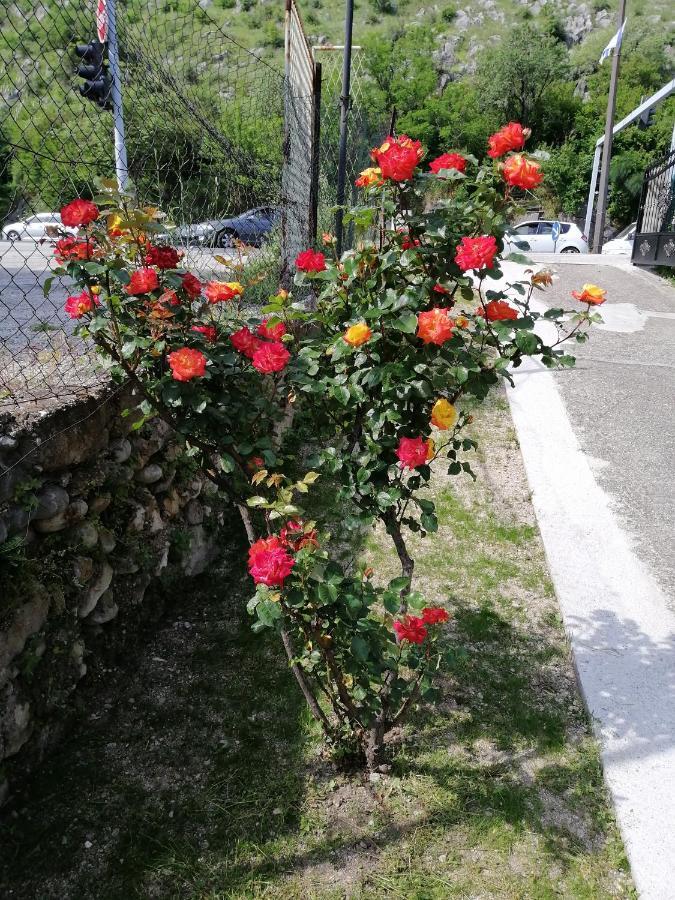 Apartmani Taki Mostar Dış mekan fotoğraf